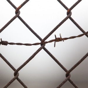 Во Владимире сломавшего нос полицейскому бизнесмена приговорили к 1,5 годам колонии