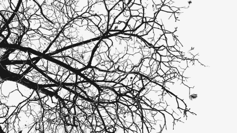 Улицу в центре Владимира перекроют на 4 часа