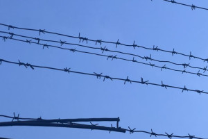 Еще одна сообщница бывшего депутата-миллионера из Мурома получила тюремный срок