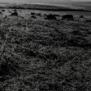 Пропавшего в Муроме мужчину в черной куртке нашли мертвым