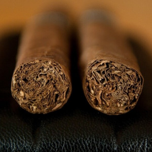 Эксперт объяснил, зачем во Владимирскую область завезли табачные листы из Замбии и Индии