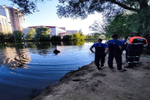 За три дня во Владимирской области утонули 4 человека