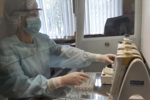 Во Владимирской области с людей сняли 3 зараженных болезнью Лайма клещей