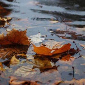 Рабочая неделя во Владимирской области начнется с холодов 
