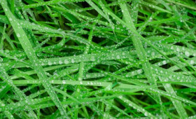 Прогноз погоды во Владимире и области на 18 апреля 2026 года