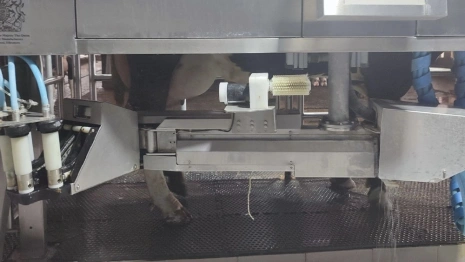 Во Владимирской области появился первый доильный робот