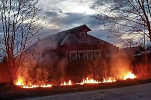 В Александрове хулиганы подожгли сухую траву