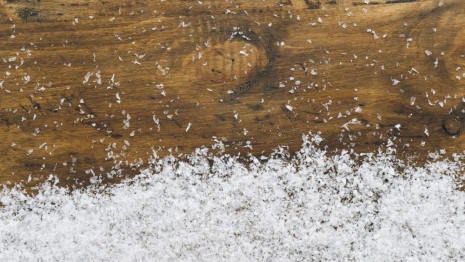 На Владимирскую область обрушатся штормовой ветер и снег