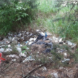 В Меленковском районе нашли массу стихийных свалок