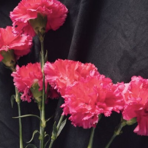 В зоне СВО погиб 52-летний бывший участковый из Киржача