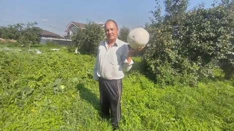 Житель Юрьев-Польского района вырастил 2-килограммовый дождевик