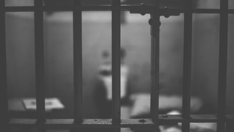 Пятерых членов ОПГ осудили за многомиллионное хищение топлива во Владимирской области