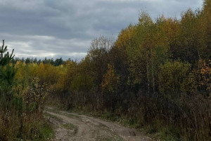 Во Владимирской области начнется метеорологическая осень