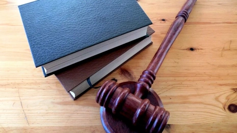 Создатели «Лунтика» обвинили жителя Владимирской области в нарушении авторских прав