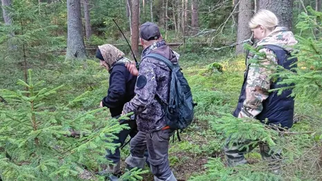 Волонтеры рассказали о спасении двух бабушек во владимирских лесах за одну ночь