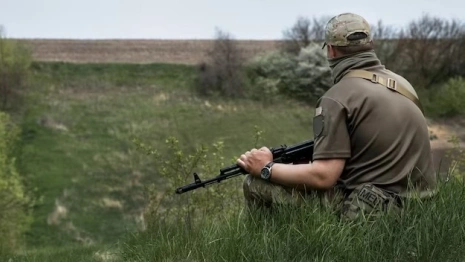 Житель Вязников случайно застрелил закладчика при охоте на лося