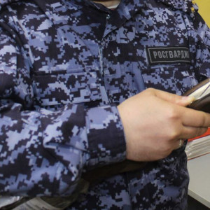 Во Владимирской области у 280 человек изъяли 490 единиц оружия