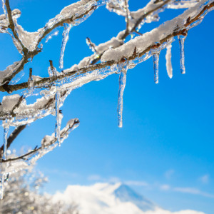 Прогноз погоды во Владимире и области на 9 января