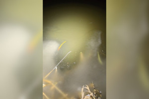 Прокуратура начала проверку из-за пластика в Клязьме во Владимире