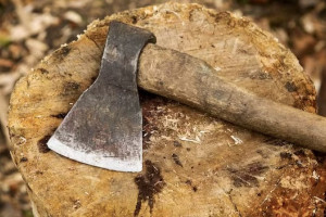 Ударившего мать топором жителя Владимирской области приговорили к колонии