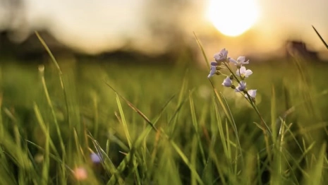 Пропавшего в июле 45-летнего жителя Вязников нашли живым