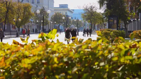 Туристов во Владимирскую область хотят привлечь с помощью образа Ивана Грозного 