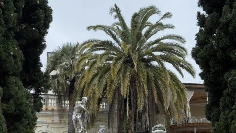 Во Владимирской области подорожали заграничные туры и медицинские услуги