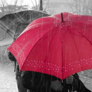 Тропический ливень накроет Владимирскую область