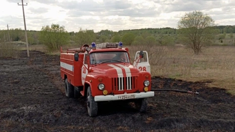 Во Владимирской области дважды за сутки загорелась сухая трава