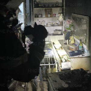 В Лакинске на пожаре эвакуировали 10 детей и 25 взрослых
