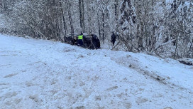 Ребенок получил черепно-мозговую травму после ДТП в Камешковском районе