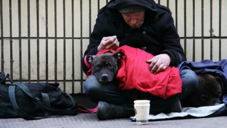 Во Владимирской области снизилось число безработных