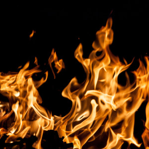 Артемон – дери полоз: что можно и нельзя делать 6 апреля