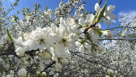 Во Владимирской области пообещали 19-градусное тепло