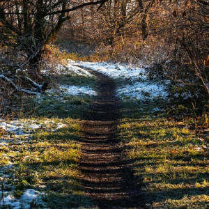 Синоптики предупредили водителей о резких изменениях погоды в марте