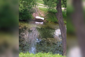 Прохожие заметили труп женщины у Красносельского пруда во Владимире 

