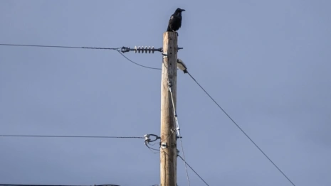 В Петушинском районе аварийное состояние опор ЛЭП обернулось судом