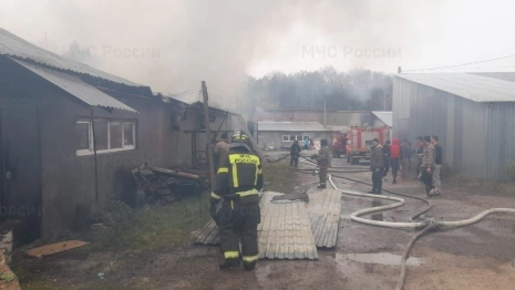 В Гусь-Хрустальном районе загорелся цех по производству гипсовых игрушек