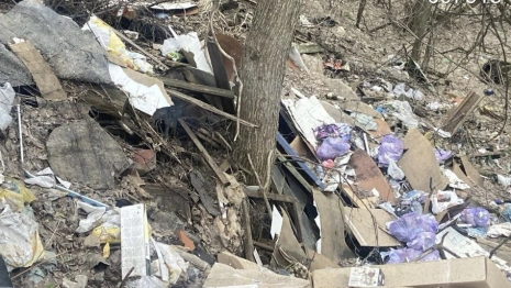 Прокуратура потребовала убрать 5 стихийных свалок в Муроме