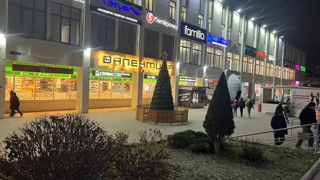 Во Владимире появились первые новогодние елки