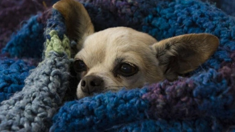 13 июля стало одним из самых холодных летних дней во Владимире за 50 лет