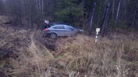 В Собинском районе водитель и пассажир попали в больницу после наезда на дерево