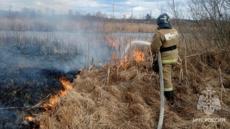 За сутки сухая трава во Владимирской области загорелась в 14 местах