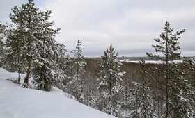Синоптики рассказали, какой будет зима во Владимирской области