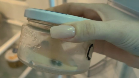 В больницах Мурома нашли сыр с плесенью и просроченные дрожжи