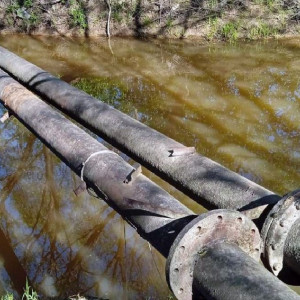 Нечистоты из речки под Петушками дотекли до Владимира