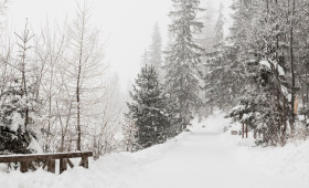 Прогноз погоды во Владимире и области на 16 февраля 2026 года