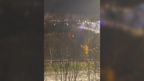 Жители Владимира развели огромный костер в парке «Добросельский»