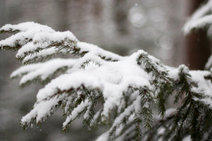 Прогноз погоды во Владимире и области на 23 января
