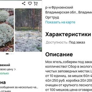 Из заказника во Владимирской области вывезли мох на 1 млн рублей